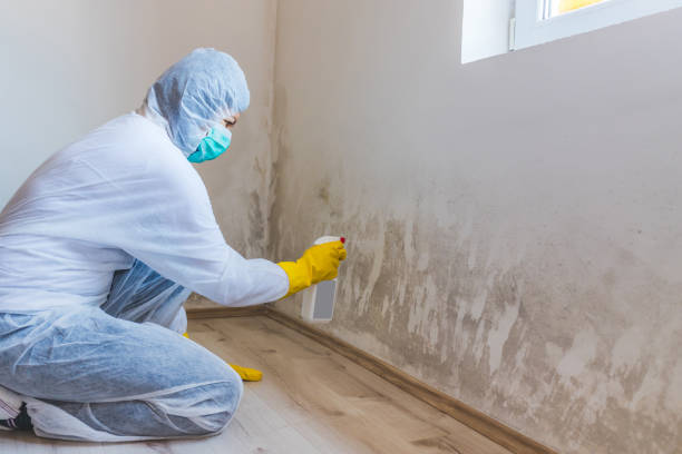 Licensed Mold Testing service in Lawnside, NJ - WQB Mold Removal
