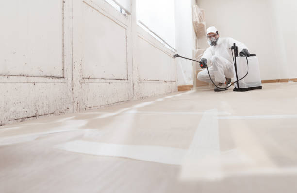 24/7 Emergency Mold Testing experts in Lawnside, NJ