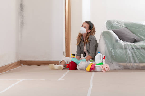 Reliable Mold Testing contractor in Lawnside, NJ by WQB Mold Removal